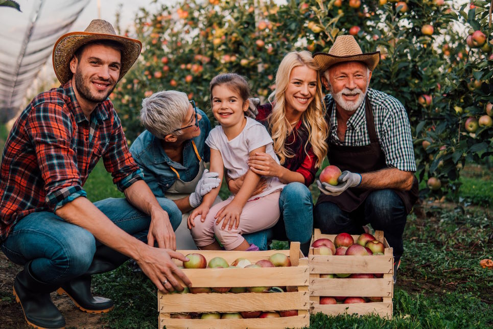 Farming family in orchard with apples