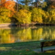 Park bench in fall in front of river