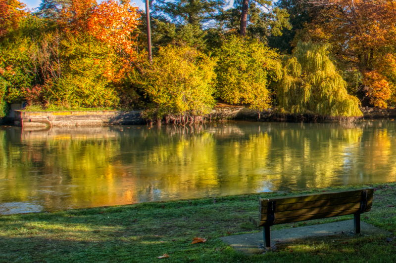 Park bench in fall in front of river