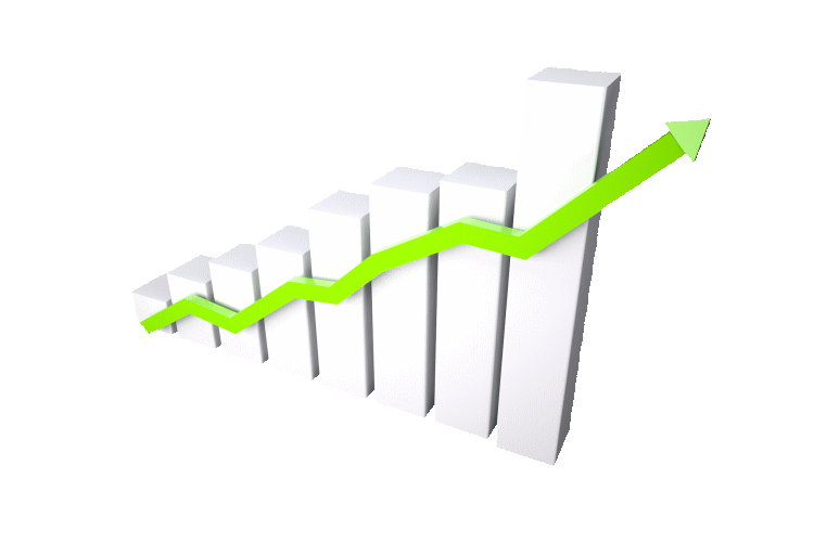 investment portfolio growth